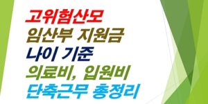 고위험산모-임산부지원금-나이기준-의료비-입원비-단축근무-총정리