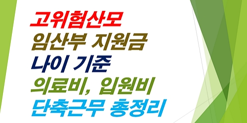 고위험산모-임산부지원금-나이기준-의료비-입원비-단축근무-총정리