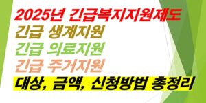 긴급복지지원제도-긴급생계지원-긴급의료지원-긴급주거지원-대상-금액-신청방법-총정리