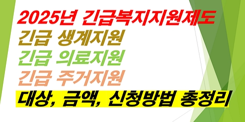 긴급복지지원제도-긴급생계지원-긴급의료지원-긴급주거지원-대상-금액-신청방법-총정리