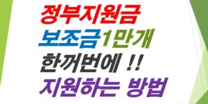 보조금24-복지멤버십-정부지원금