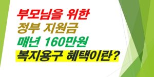 부모님-정부지원금-매년-160만원-복지용구-혜택