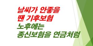 날씨가-안좋을-땐-기후보험-노후에는-종신보험-연금형태로-받아서-써요.