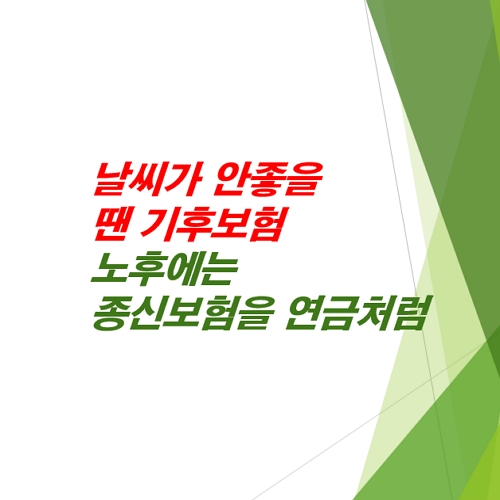날씨가-안좋을-땐-기후보험-노후에는-종신보험-연금형태로-받아서-써요.