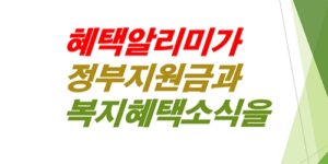 혜택알리미-복지혜택-정부지원금-보조금24
