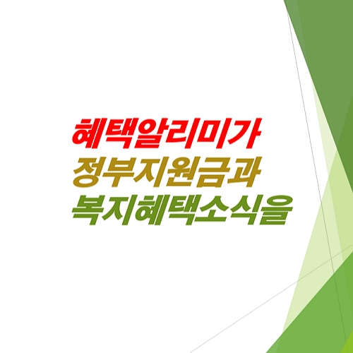 혜택알리미-복지혜택-정부지원금-보조금24