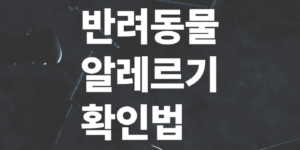 반려동물-알레르기-증상-확인법과-함께사는방법