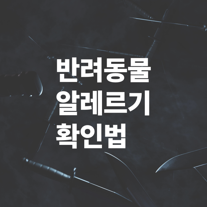 반려동물-알레르기-증상-확인법과-함께사는방법