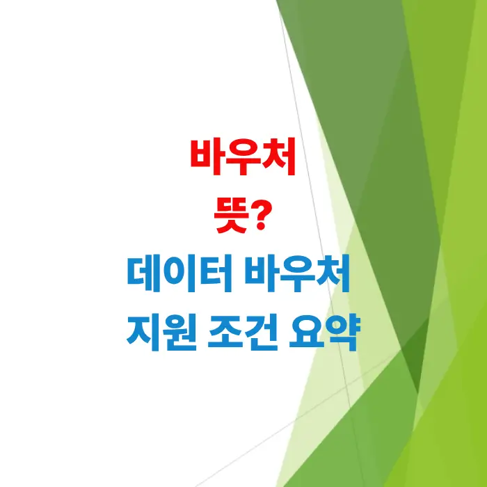 알기-쉬운-바우처-뜻-개념과-정부-데이터-바우처-혜택