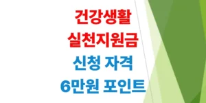 건강생활실천지원금제도-신청-자격-및-6만원-포인트