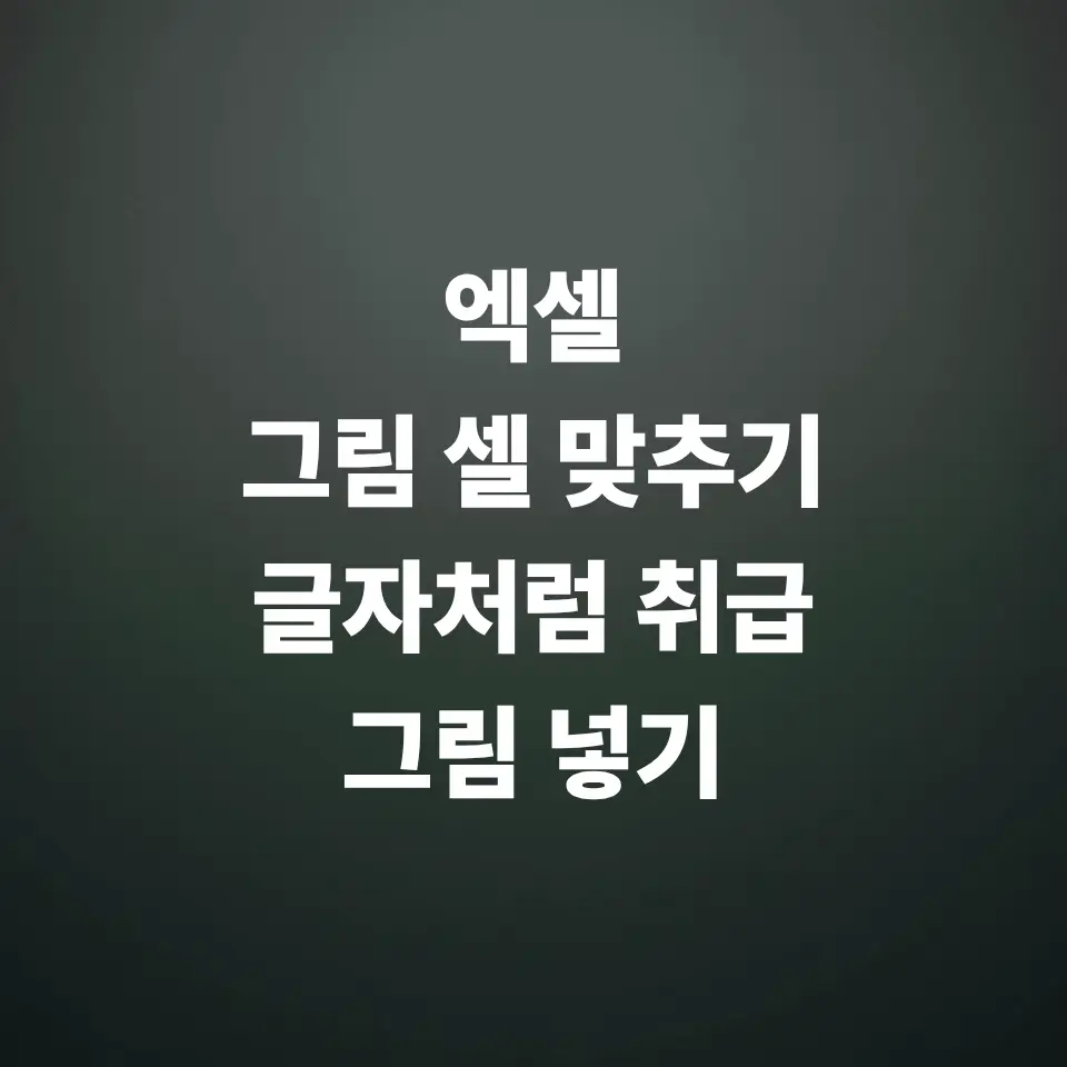엑셀-그림-셀에-맞추기-글자처람-취급-그림-넣기