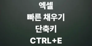 엑셀-빠른-채우기-단축키-ctrl-e-기능