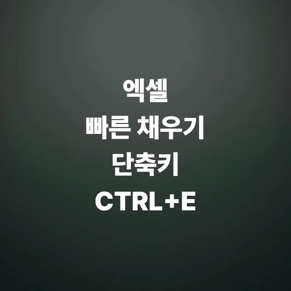 엑셀-빠른-채우기-단축키-ctrl-e-기능
