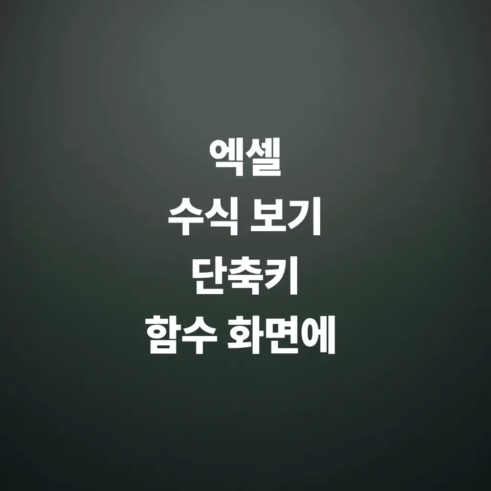 엑셀-수식-보기-단축키-결과값-대신-함수-화면-보기