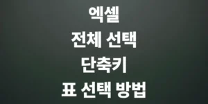 엑셀-전체-선택-단축키-범위-지정법-표-하나만-선택하는-법