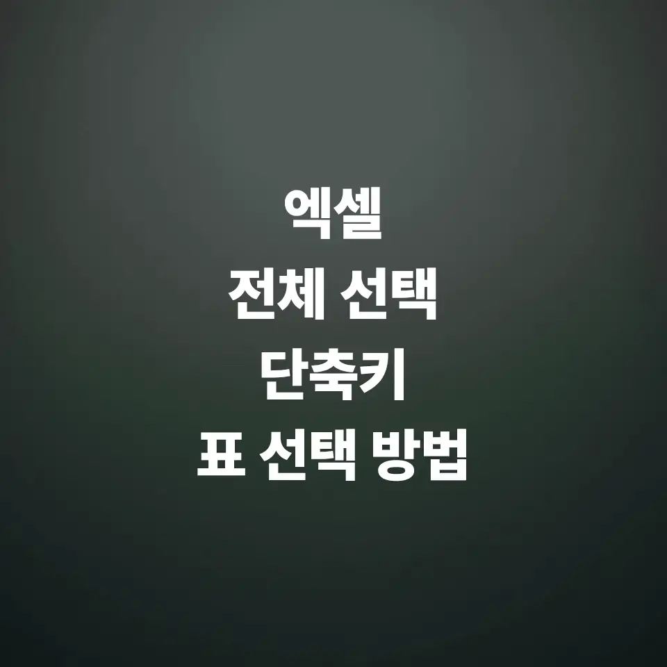 엑셀-전체-선택-단축키-범위-지정법-표-하나만-선택하는-법