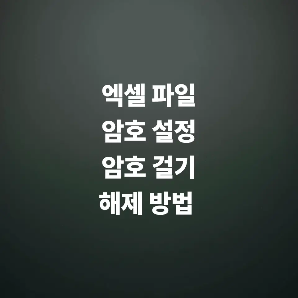 엑셀-파일-암호-설정-및-걸기-해제-방법-분실시-대응법
