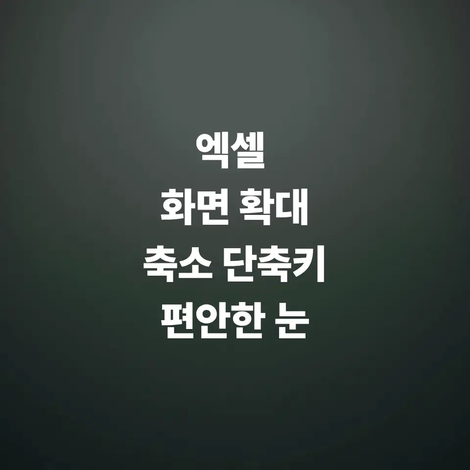 엑셀-화면-확대-축소-단축키-눈이-편해지는-작업-화면