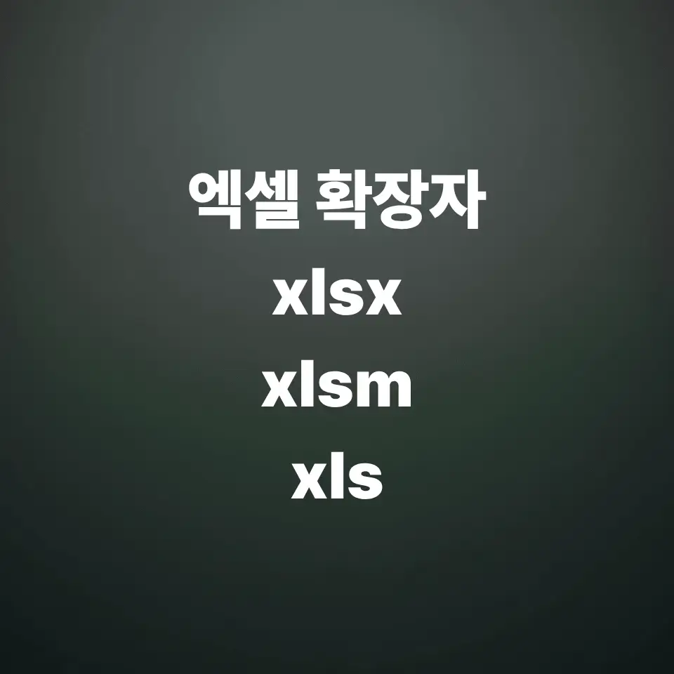 엑셀-확장자-xlsx-xls-xlsm-차이점-매크로-포함-문서-저장법