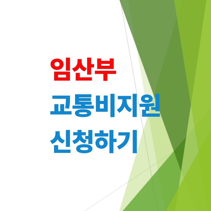 임산부교통비지원-신청방법-서울시-경기도