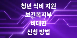 청년-식비-지원-보건복지부-복지로-활용-비대면-신청